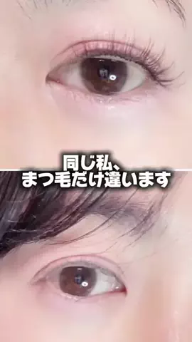 どらちゃんのTikTok投稿