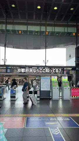 京都グルメ／KYOTO SELECTのTikTok投稿