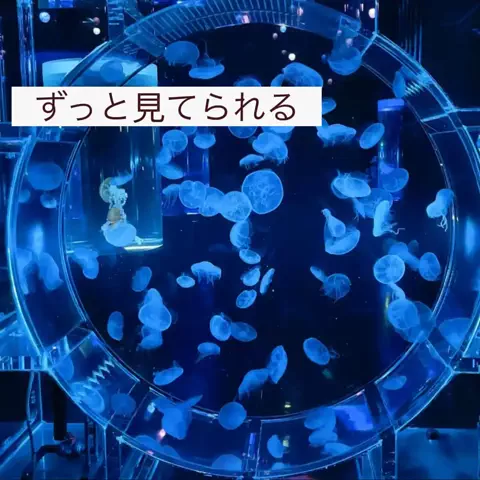 くれちゃん𖨆📛🦖のTikTok投稿