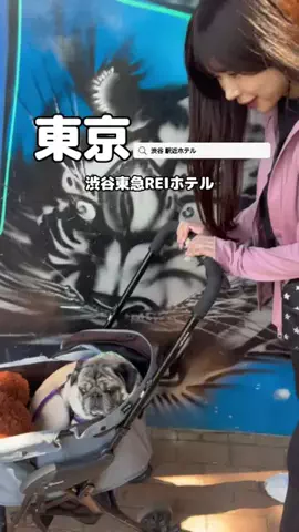 美魔女yuko🧸のTikTok投稿