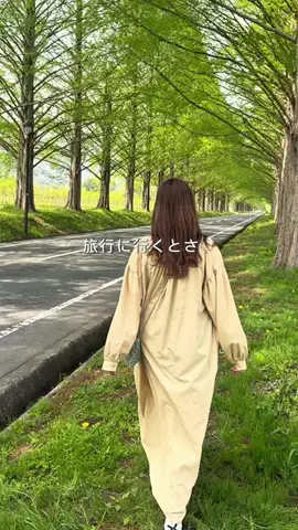 オルカナビ 名古屋グルメ🫍オルナビ🫍のTikTok投稿