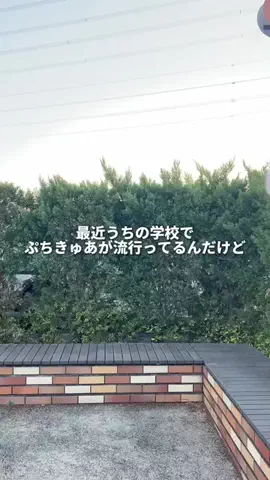 kyokoのTikTok投稿