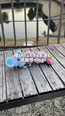 kyokoのTikTok投稿