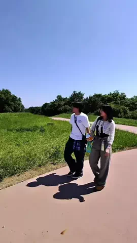 ハマリュウのTikTok投稿