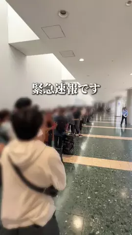 東京最新グルメのTikTok投稿
