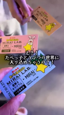 ゆっっっっき。｜疲れた大人、ここ行このTikTok投稿