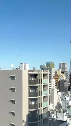 misatoのTikTok投稿