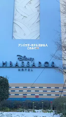 misatoのTikTok投稿