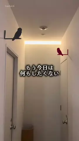 ゆっっっっき。｜疲れた大人、ここ行このTikTok投稿