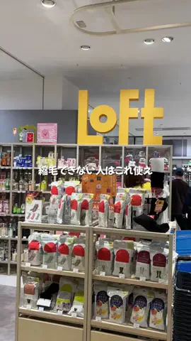 つやつやちゃんのTikTok投稿