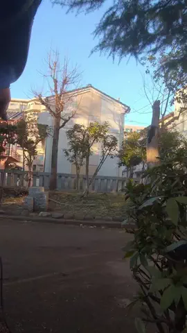 すなおのTikTok投稿