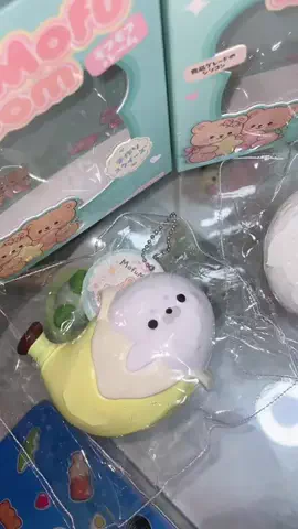 ももいぬのTikTok投稿