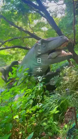【大阪発】たっぷりおでかけ隊 🍃のTikTok投稿