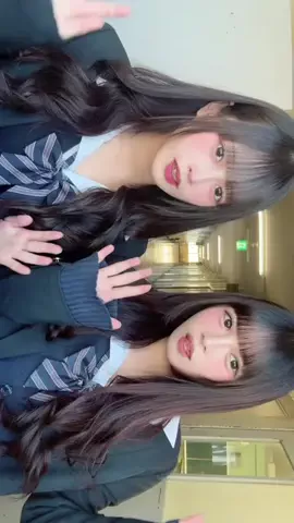 ぼーちゃんのTikTok投稿