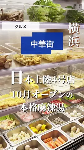 はまラボのTikTok投稿