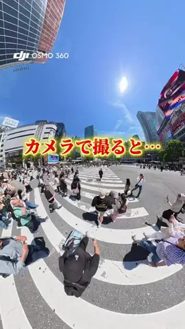 えび｜ズボラでも整うマイペースな暮らしのTikTok投稿