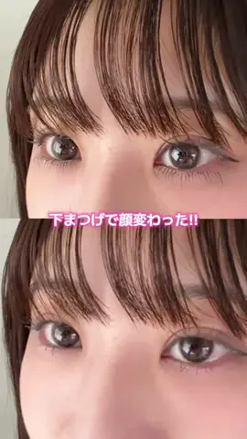 ほにょぺにょこのTikTok投稿