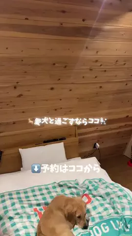 なみちゃん旅のTikTok投稿
