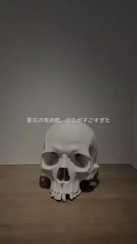 なみちゃん旅のTikTok投稿