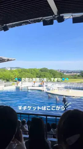 なみちゃん旅のTikTok投稿