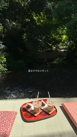 なみちゃん旅のTikTok投稿