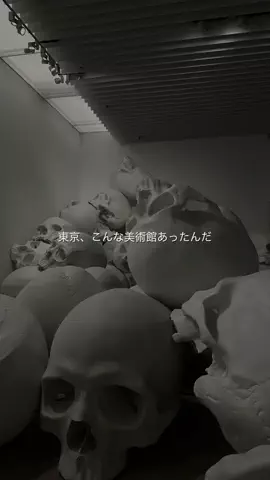 なみちゃん旅のTikTok投稿