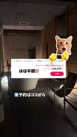 なみちゃん旅のTikTok投稿