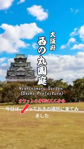 nyan 喵のTikTok投稿