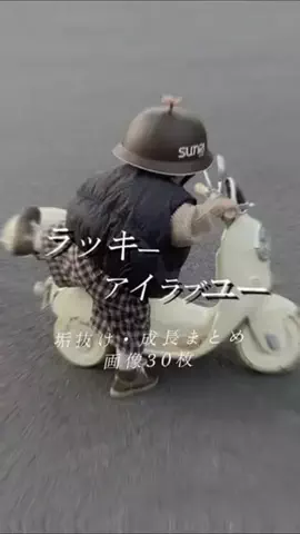 気まぐれ人間/CapCutのTikTok投稿