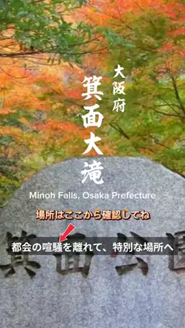 nyan 喵のTikTok投稿