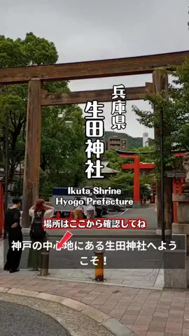 nyan 喵のTikTok投稿