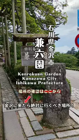 nyan 喵のTikTok投稿
