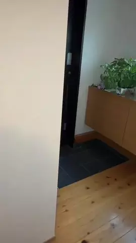 沙和のTikTok投稿