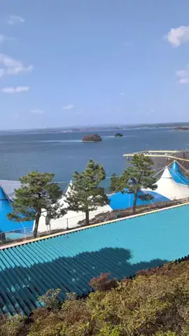 のぶ(スーパー旅行系クリエイター)のTikTok投稿