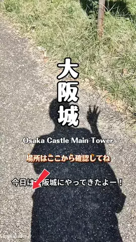 nyan 喵のTikTok投稿