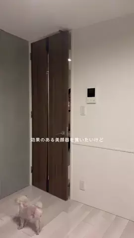 ほなみ | フリーランスのTikTok投稿