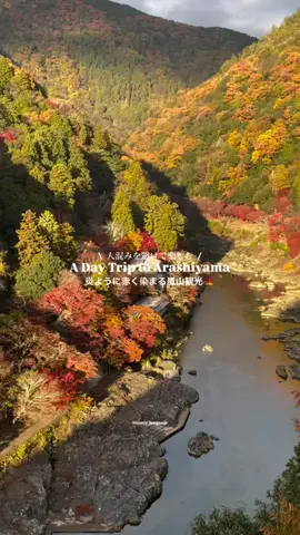 マイタビ / JAPAN TRIPのTikTok投稿
