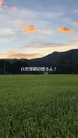 熊本グルメ／KUMAMOTO SELECTのTikTok投稿