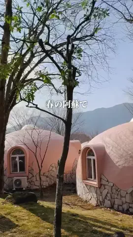熊本グルメ／KUMAMOTO SELECTのTikTok投稿