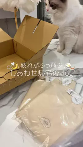 𝐍𝐀𝐓𝐒𝐔𝐊𝐈のTikTok投稿