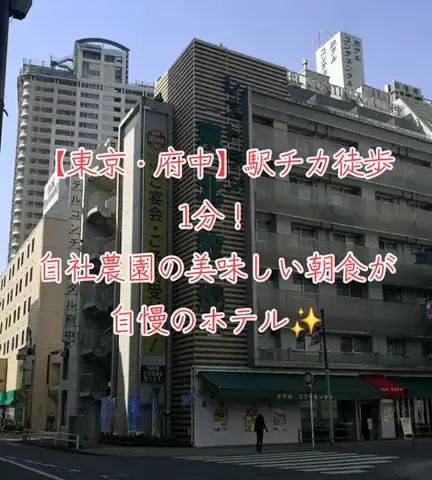 旅ビトのTikTok投稿