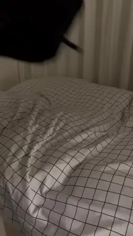 サクヤのTikTok投稿