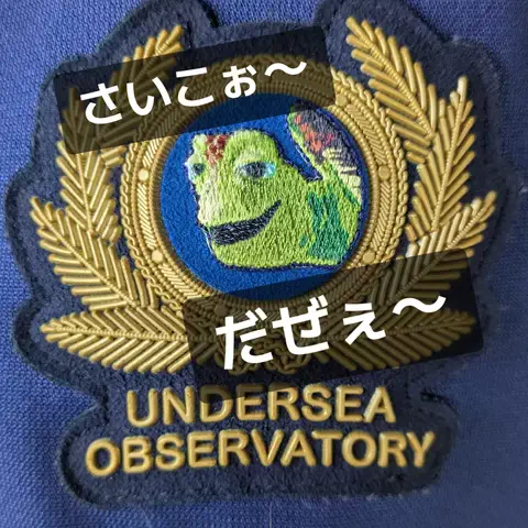 🉐得にゃん🐈‍⬛のTikTok投稿