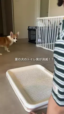 のせ | neutral lifestyleのTikTok投稿