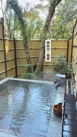 ✈️Yuika🍉naviのTikTok投稿