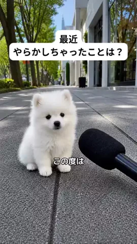 犬猫総合製薬株式会社のTikTok投稿