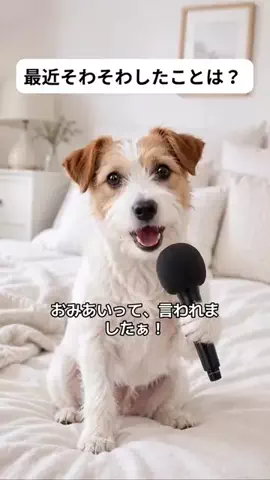 犬猫総合製薬株式会社のTikTok投稿