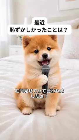 犬猫総合製薬株式会社のTikTok投稿