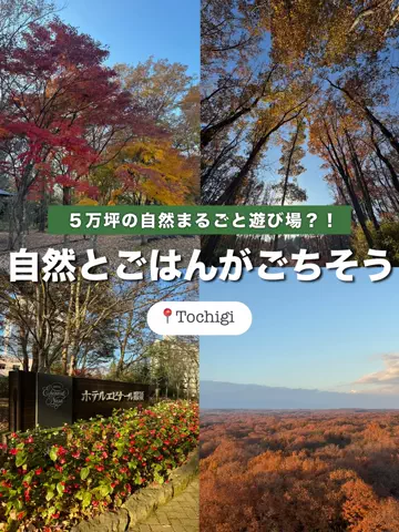 ✈️Yuika🍉naviのTikTok投稿