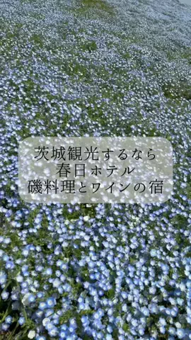 りさの休日🥂🐰🧡のTikTok投稿